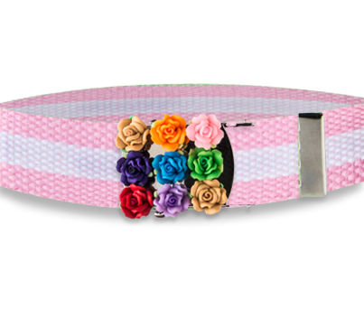 flowers Belt - Click Image to Close